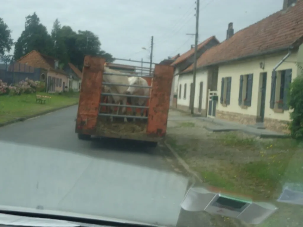 Photo randonnée cycliste la Belle Tréportaise 2024