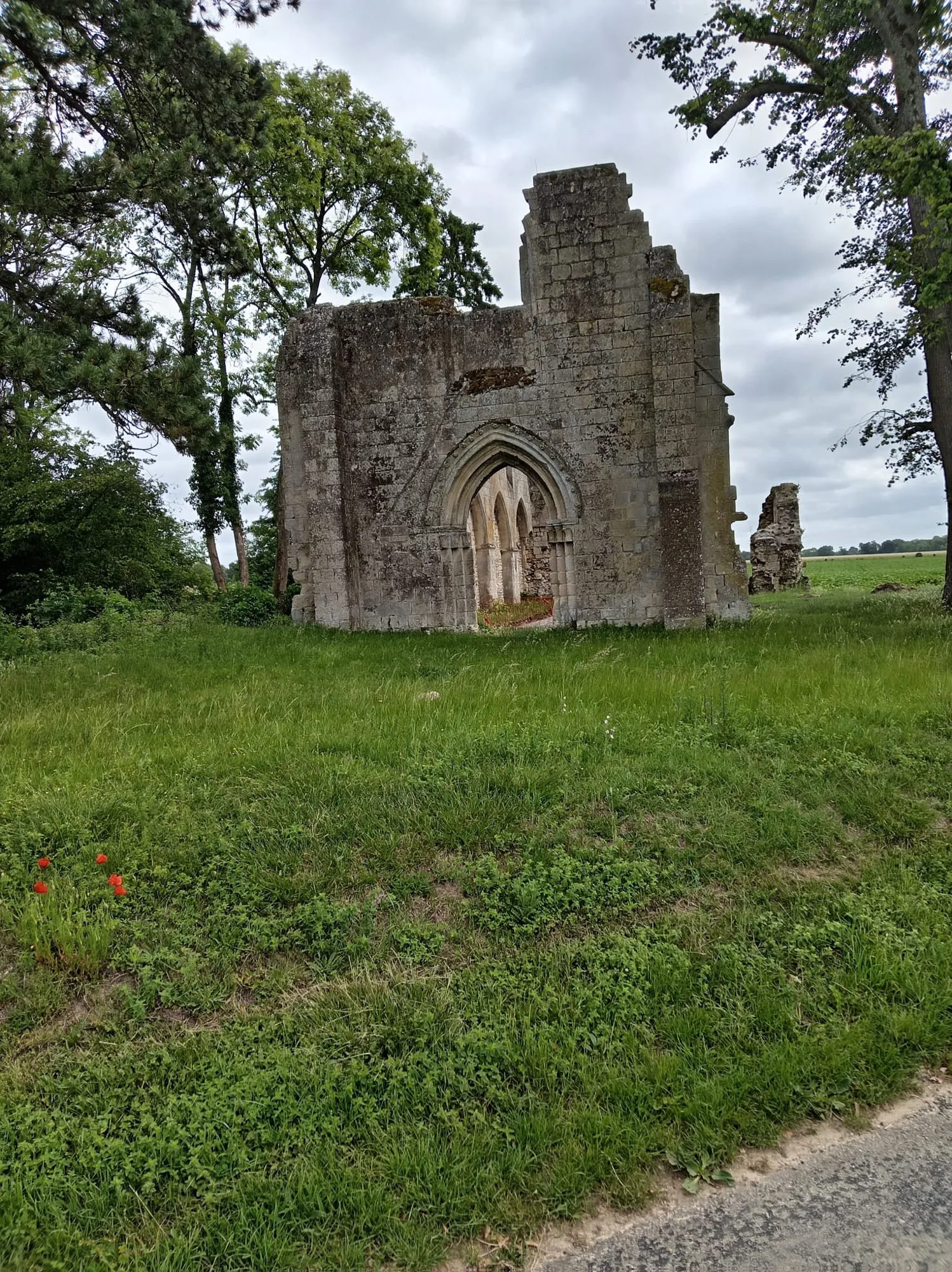 Ruine d'une chapelle gothique au milieu d'un champ, aperçue le long du parcours de la rando de Le Meux