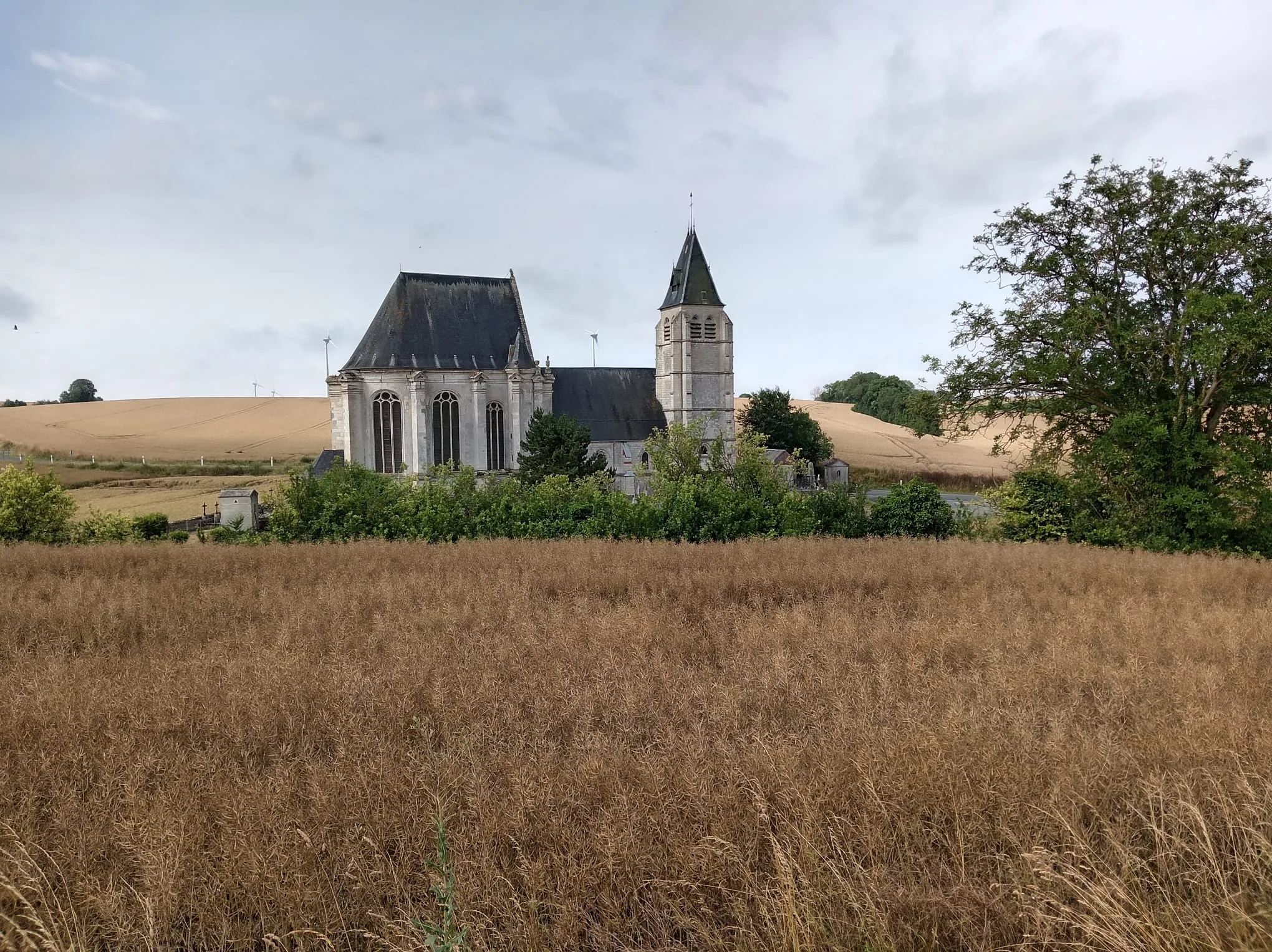 L'église Saint-André de Saint-André-Farivillers (Oise) se dressant en pleine nature derrière un champ de blé doré, lors d'une sortie du Vélo Club de Mouy le 28 juin 2026